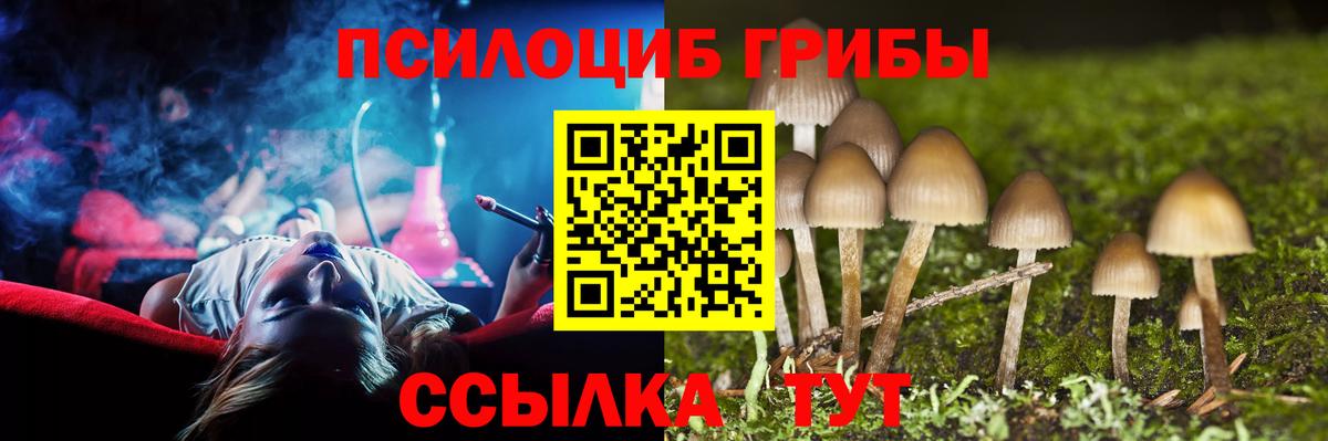 Галлюциногенные грибы мицелий  Вход с VPN  Тавда 