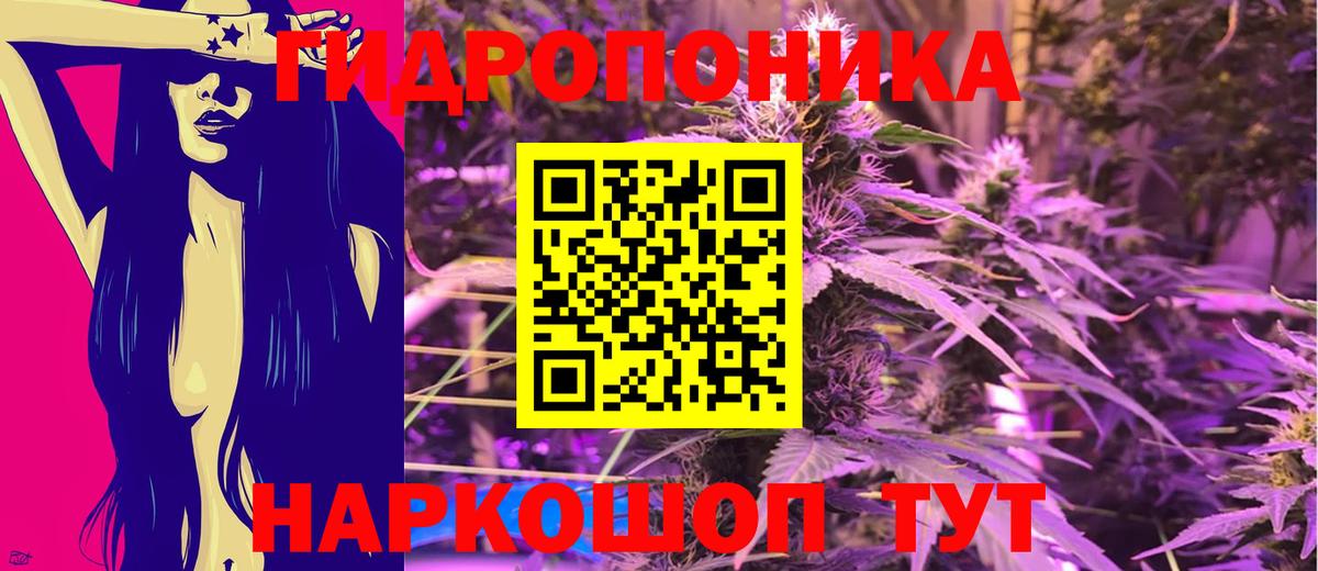 Канабис конопля Тавда